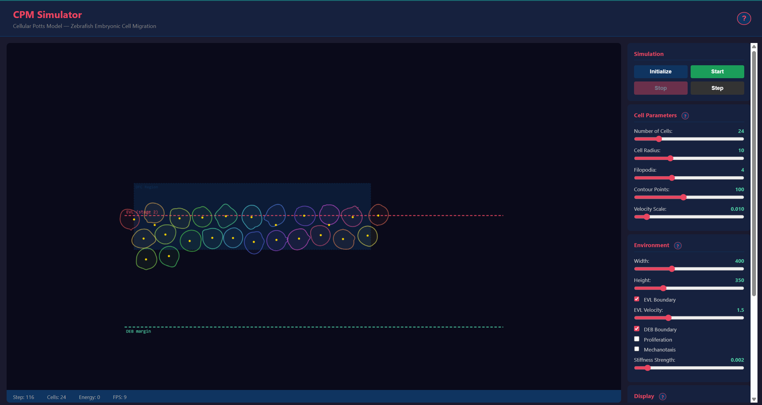 Cellular Potts Model — Interactive web interface