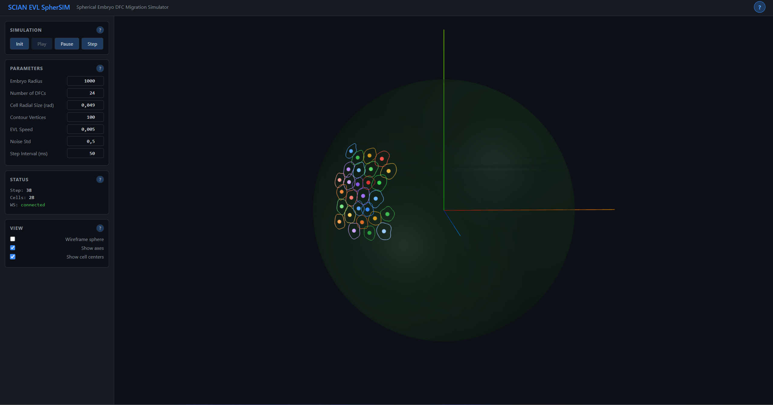 3D Embryo Simulator — Three.js visualization